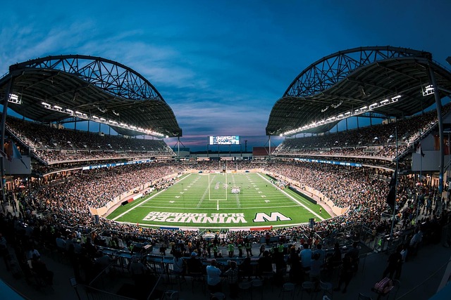 邮报：若纽卡没签下谢什科，伊萨克转会利物浦的机会将受影响